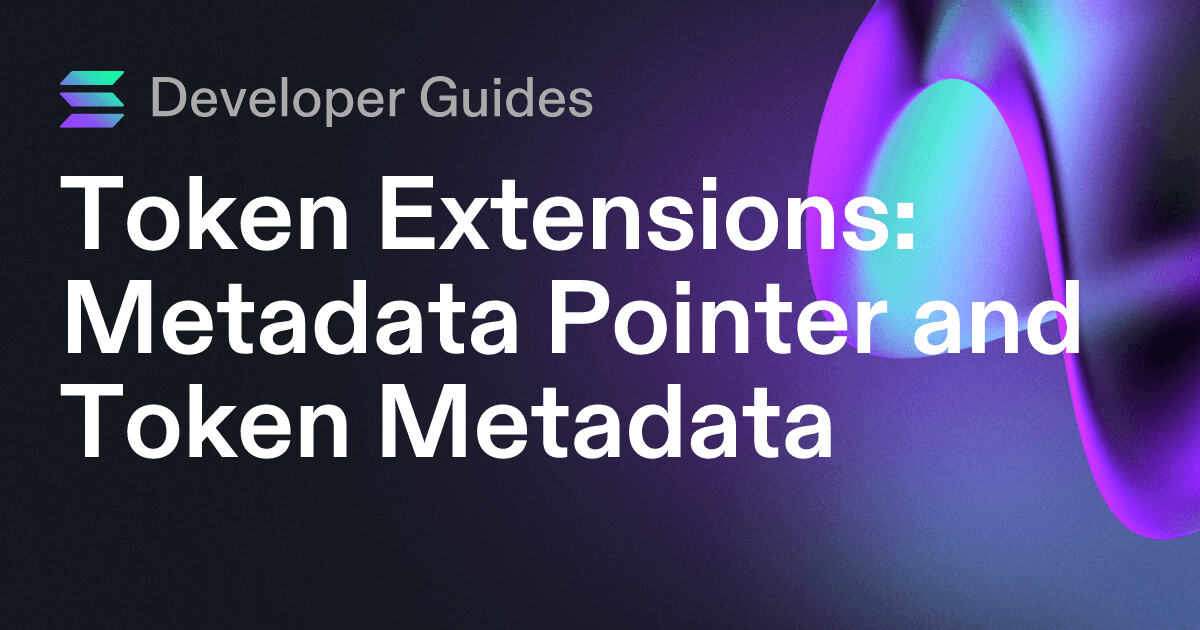 How to use the Metadata Pointer extension